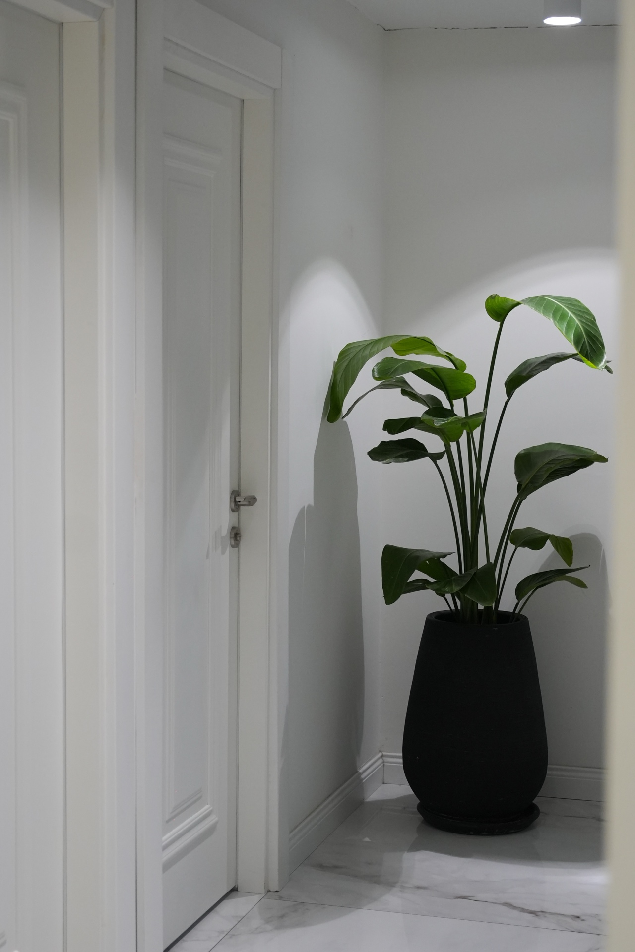 Veneers Before After - Patient 1