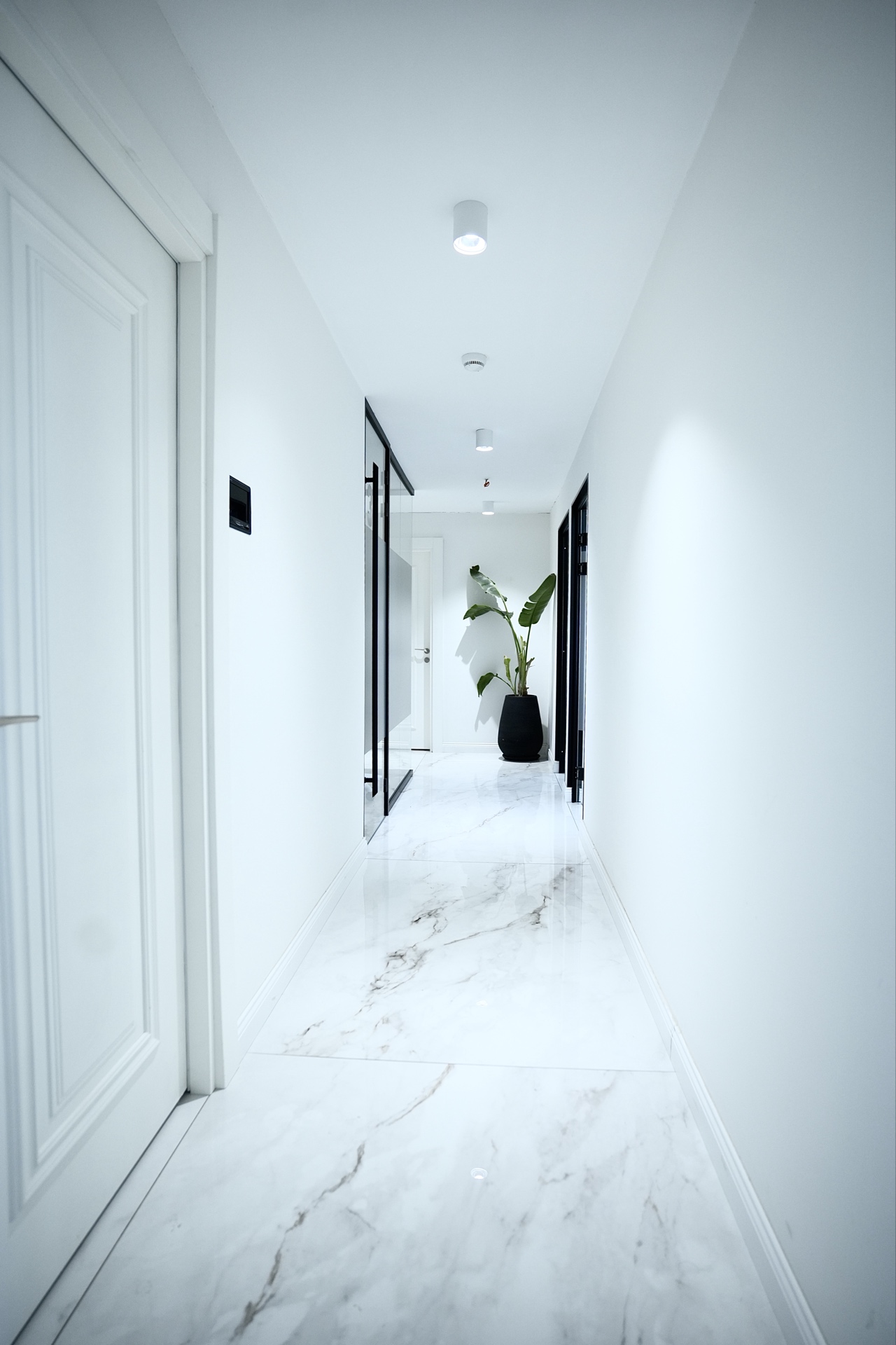 Understanding Facial-Driven Aesthetic Dentistry